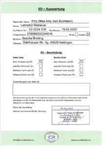 Labradorzucht Charcoal und Silber Labrador vom Ruhrtal