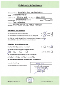 Labradorzucht Charcoal und Silber Labrador vom Ruhrtal