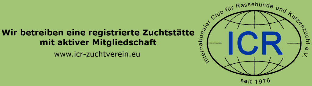 Labradorzucht Charcoal und Silber Labrador vom Ruhrtal
